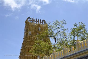 Chamundi Hill, Mysore_DSC4653_H600